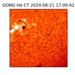 gong - 2024-08-21T17:00:42