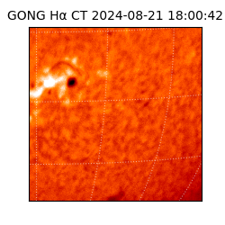 gong - 2024-08-21T18:00:42