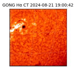 gong - 2024-08-21T19:00:42