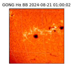 gong - 2024-08-21T01:00:02