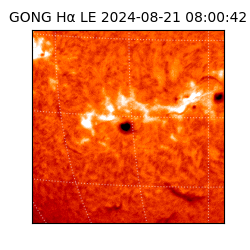 gong - 2024-08-21T08:00:42