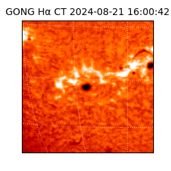 gong - 2024-08-21T16:00:42