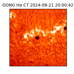 gong - 2024-08-21T20:00:42