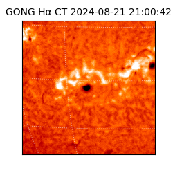 gong - 2024-08-21T21:00:42