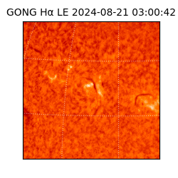 gong - 2024-08-21T03:00:42