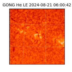 gong - 2024-08-21T06:00:42