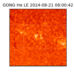 gong - 2024-08-21T08:00:42