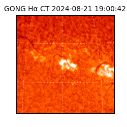 gong - 2024-08-21T19:00:42