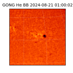 gong - 2024-08-21T01:00:02