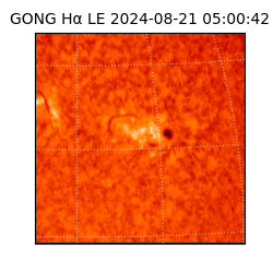 gong - 2024-08-21T05:00:42