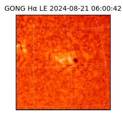 gong - 2024-08-21T06:00:42