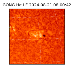 gong - 2024-08-21T08:00:42