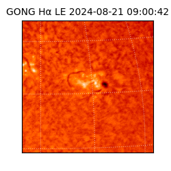 gong - 2024-08-21T09:00:42