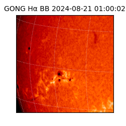 gong - 2024-08-21T01:00:02