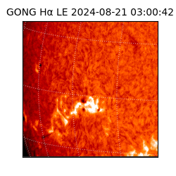 gong - 2024-08-21T03:00:42