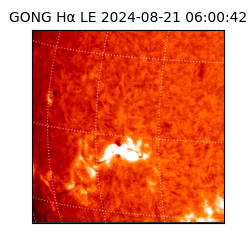 gong - 2024-08-21T06:00:42