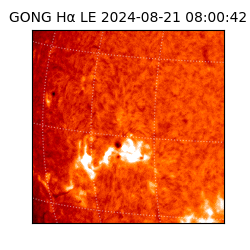 gong - 2024-08-21T08:00:42