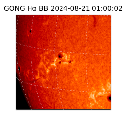 gong - 2024-08-21T01:00:02