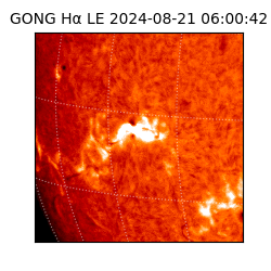 gong - 2024-08-21T06:00:42