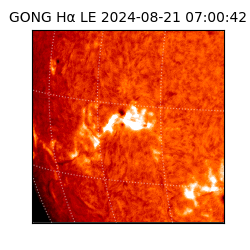 gong - 2024-08-21T07:00:42