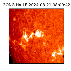 gong - 2024-08-21T08:00:42