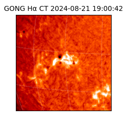 gong - 2024-08-21T19:00:42