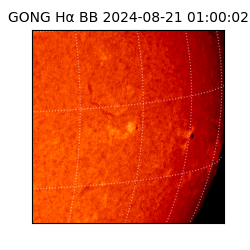 gong - 2024-08-21T01:00:02