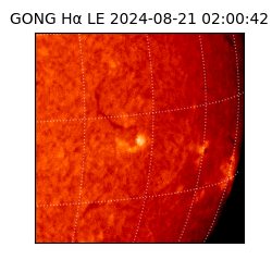 gong - 2024-08-21T02:00:42