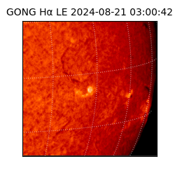 gong - 2024-08-21T03:00:42