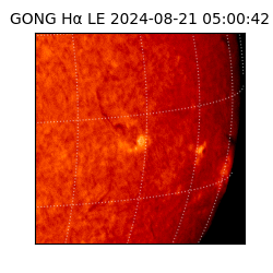 gong - 2024-08-21T05:00:42