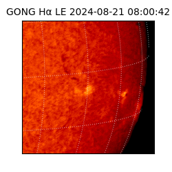 gong - 2024-08-21T08:00:42