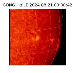 gong - 2024-08-21T09:00:42