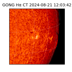 gong - 2024-08-21T12:03:42