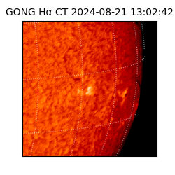 gong - 2024-08-21T13:02:42