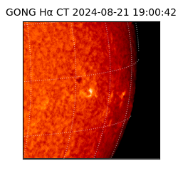 gong - 2024-08-21T19:00:42