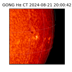 gong - 2024-08-21T20:00:42