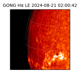 gong - 2024-08-21T02:00:42