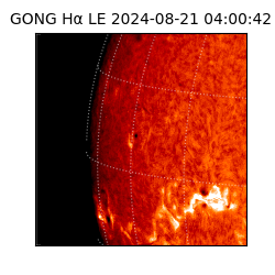 gong - 2024-08-21T04:00:42