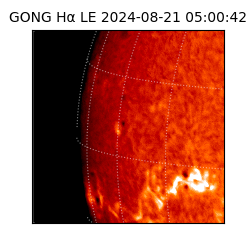 gong - 2024-08-21T05:00:42