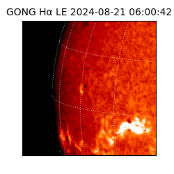 gong - 2024-08-21T06:00:42