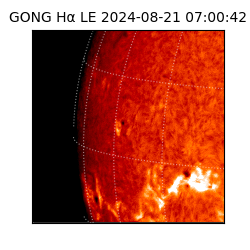 gong - 2024-08-21T07:00:42