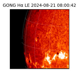 gong - 2024-08-21T08:00:42