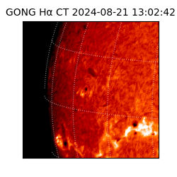 gong - 2024-08-21T13:02:42