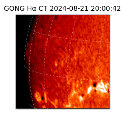 gong - 2024-08-21T20:00:42