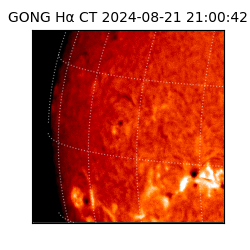 gong - 2024-08-21T21:00:42