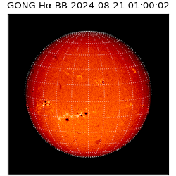 gong - 2024-08-21T01:00:02