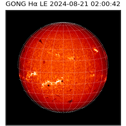 gong - 2024-08-21T02:00:42