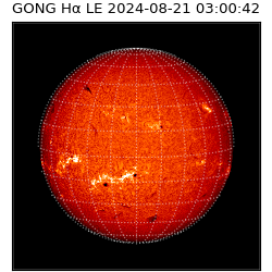 gong - 2024-08-21T03:00:42