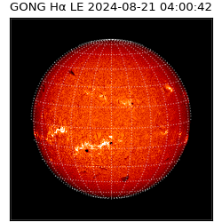 gong - 2024-08-21T04:00:42