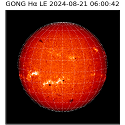 gong - 2024-08-21T06:00:42